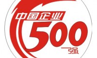 2015年中国上市企业500强分析