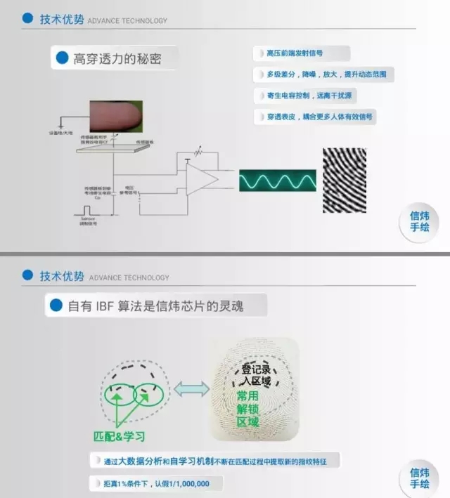 信炜科技秋季发布会侧记