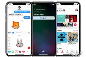 iPhone X中国订单超650万 占总量一半