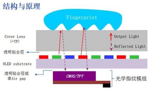 科普：小米8透明探索版的压感屏幕指纹