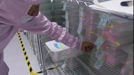 旭晶高端滤光片项目在贵州正式投产 全部建成后年产值达3亿元