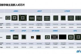 佰维存储 囊括需求｜佰维携全系嵌入式存储方案盛大出席CIMF2018