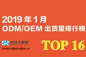 2019年1月ODM/OEM出货量排行榜