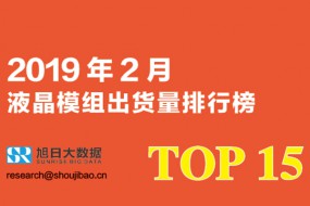 2019年2月液晶显示模组出货量排行榜