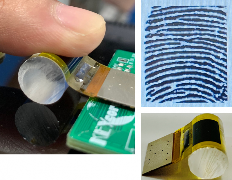 关键禾芯科技联合莱宝高科发布3D可挠式(柔性)指纹传感器