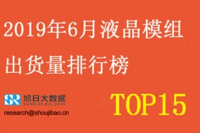 2019年6月液晶模组出货量排行榜