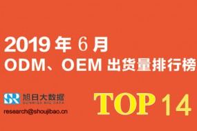 2019年6月ODM/OEM出货量排行榜TOP14