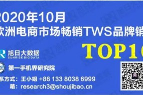 2020年10月欧洲电商市场TWS品牌销量TOP10